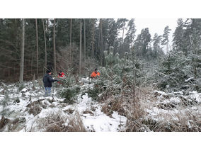 Es weihnachtet in St. Crescentius (Foto: Karl-Franz Thiede)